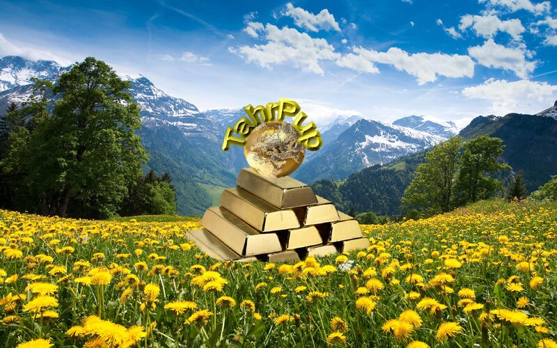 Gold Bars in Field