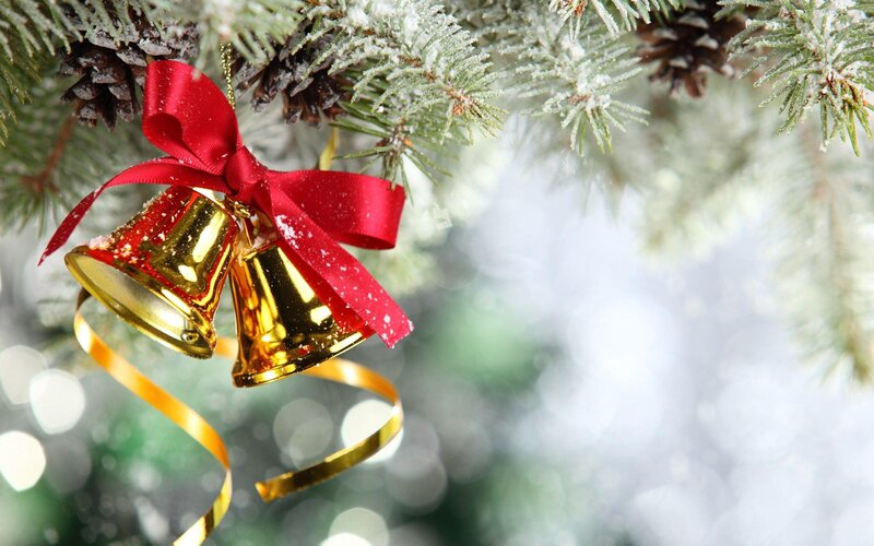 Gold Bells on Pine Branch — Green, Festive, Winter, Photograph