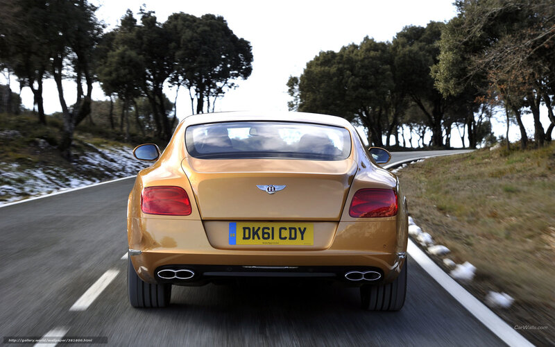 Gold Bentley Driving