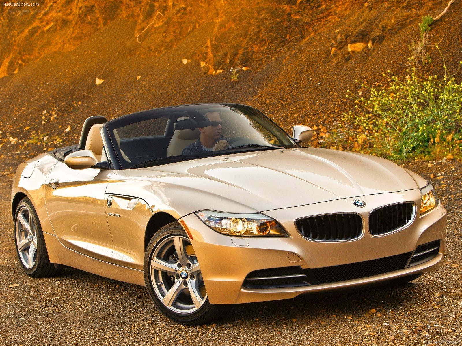 Gold BMW Z4 Roadster