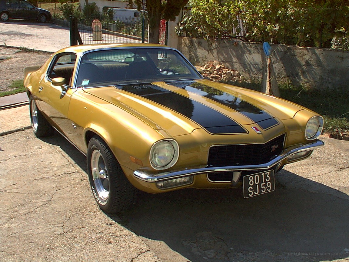 gold camaro with black stripes