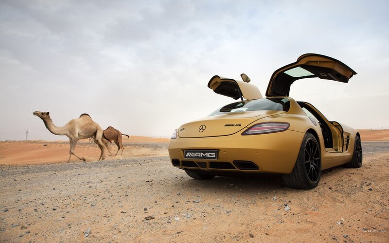 Gold car and camels in desert