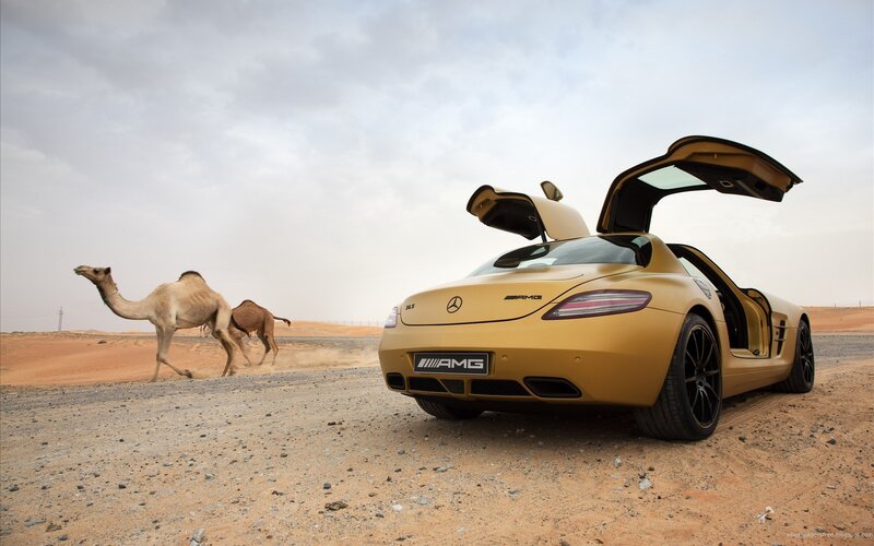 Gold car and camels in desert