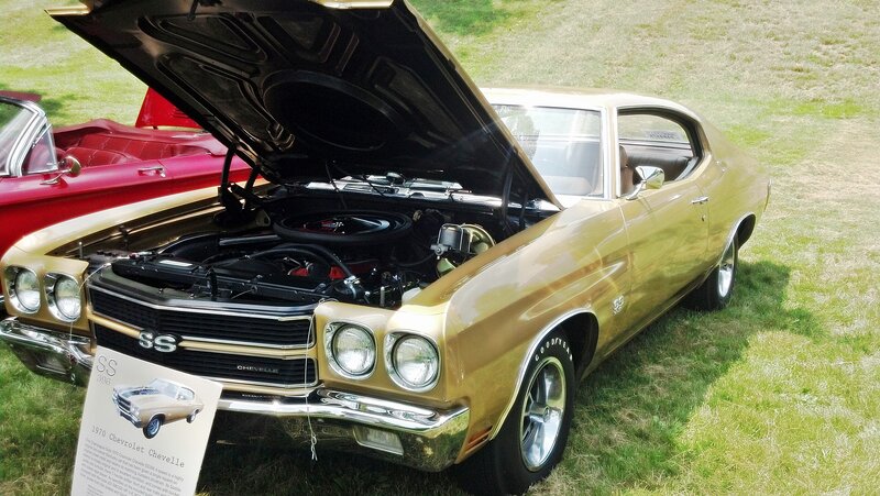 Gold Chevrolet Chevelle