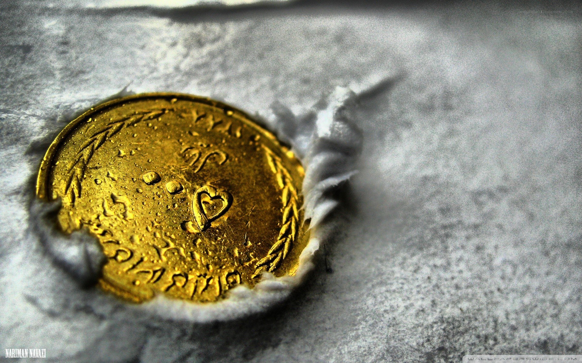 gold coin in paper
