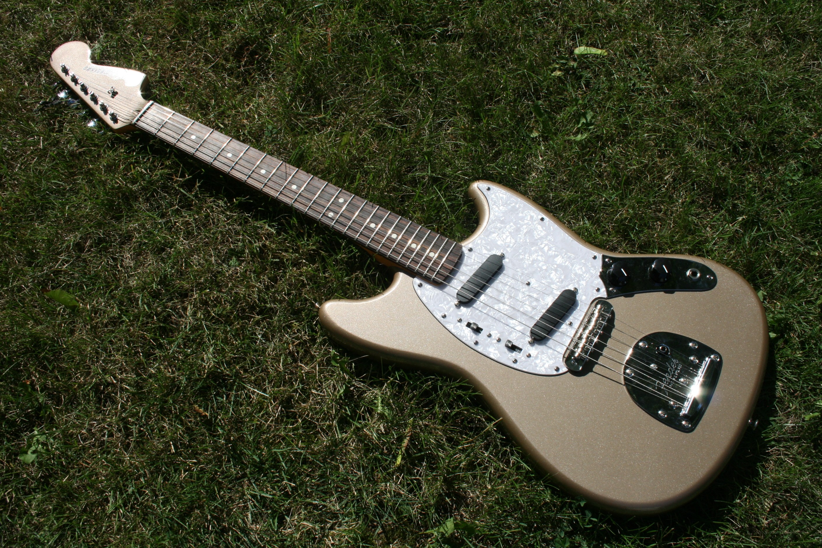 gold electric guitar on grass