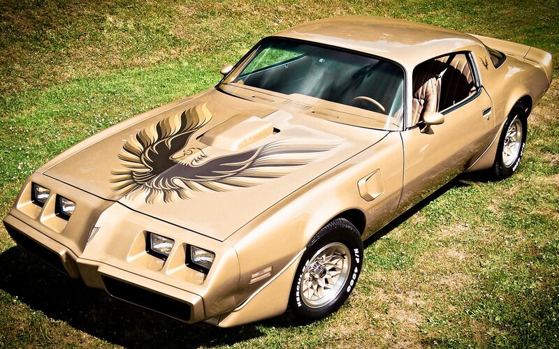 Gold Firebird Car — Calm