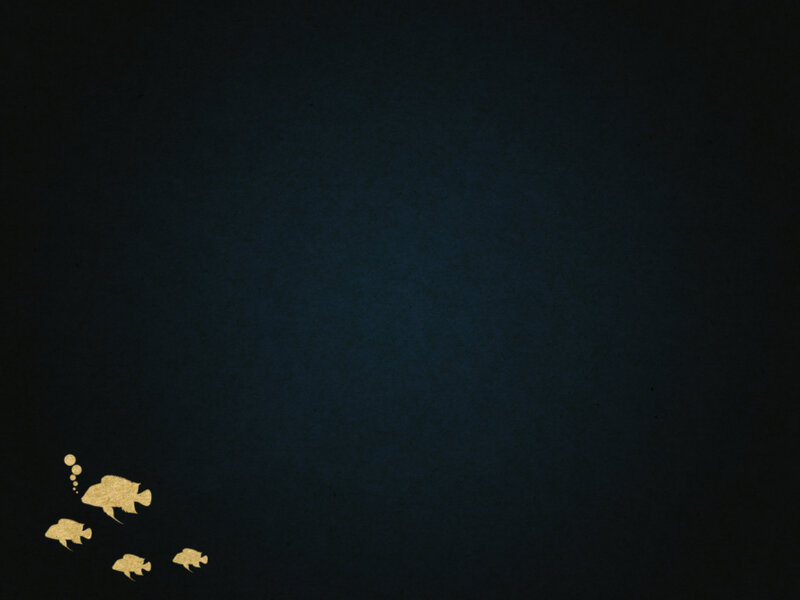 gold fish silhouettes on dark background