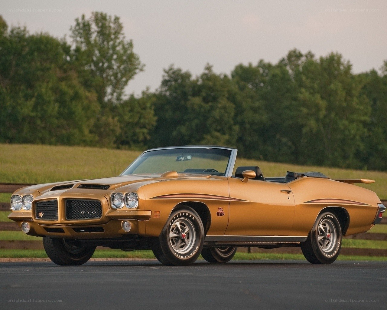 Gold GTO Convertible
