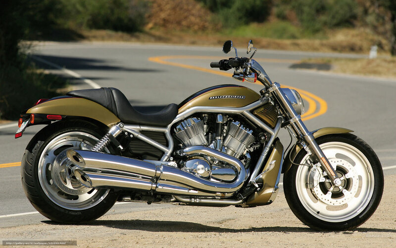 Gold Harley-davidson Motorcycle — Calm