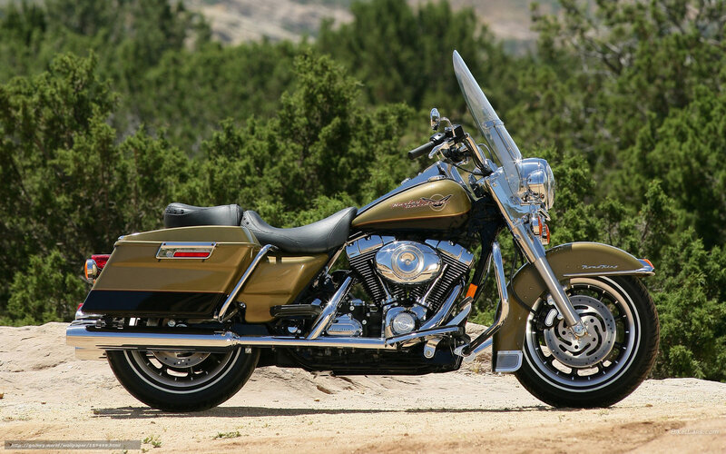 Gold Harley-davidson Motorcycle