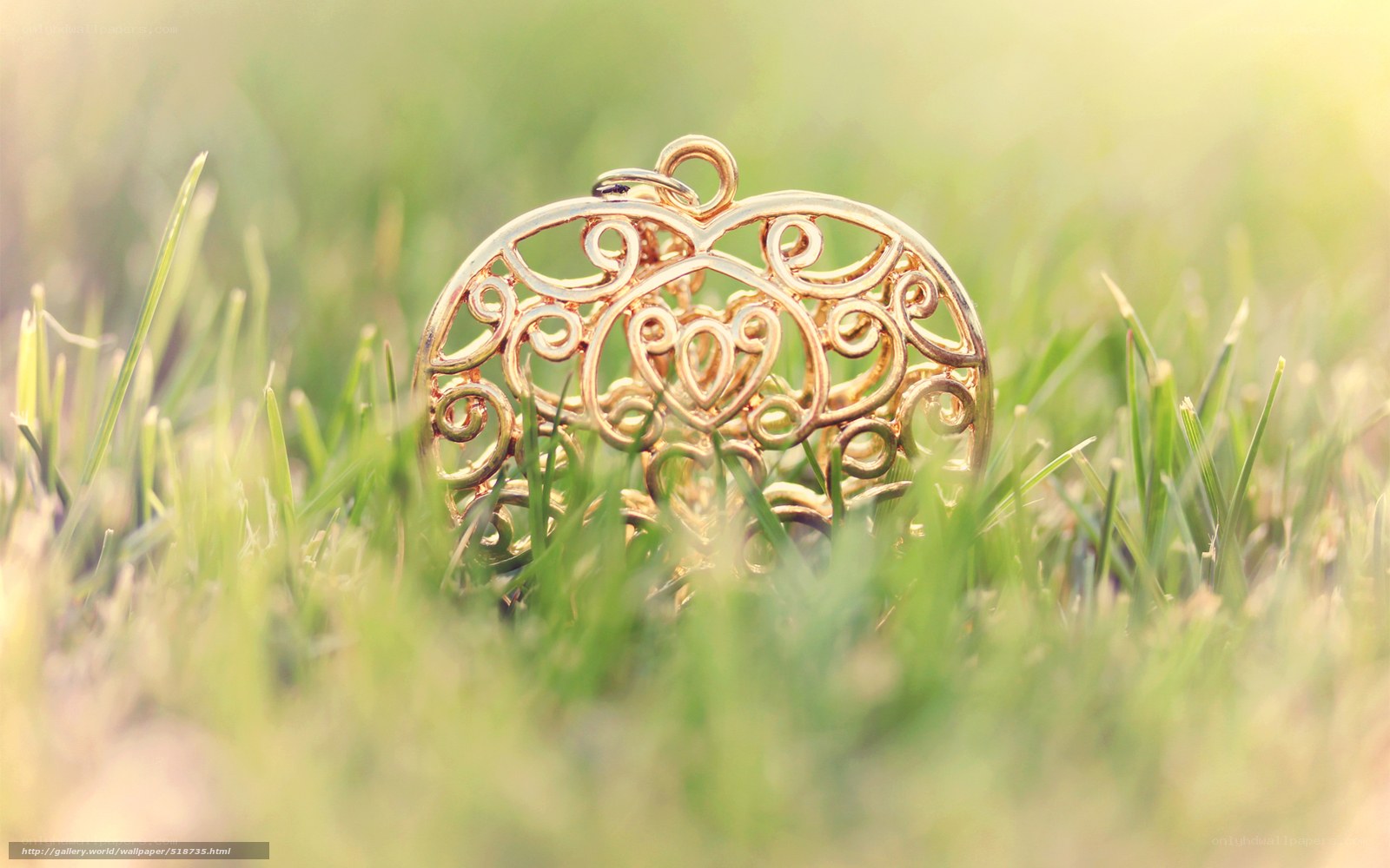 Gold heart pendant in grass