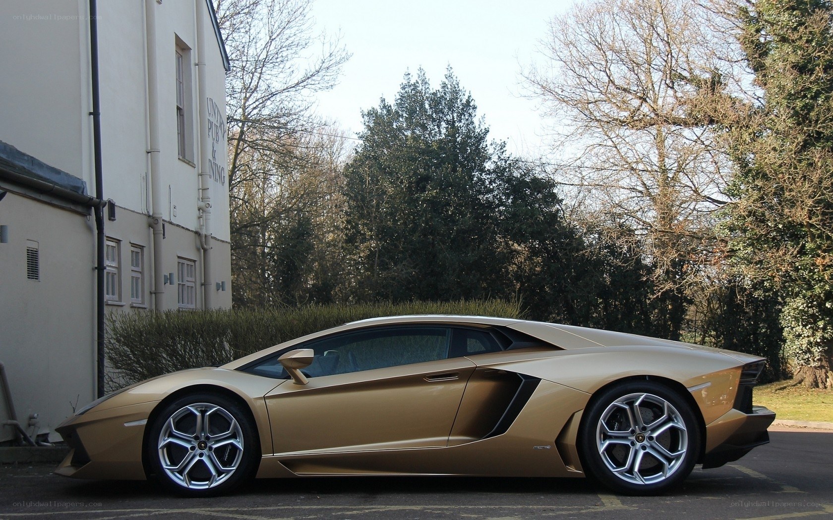 Gold Lamborghini Aventador