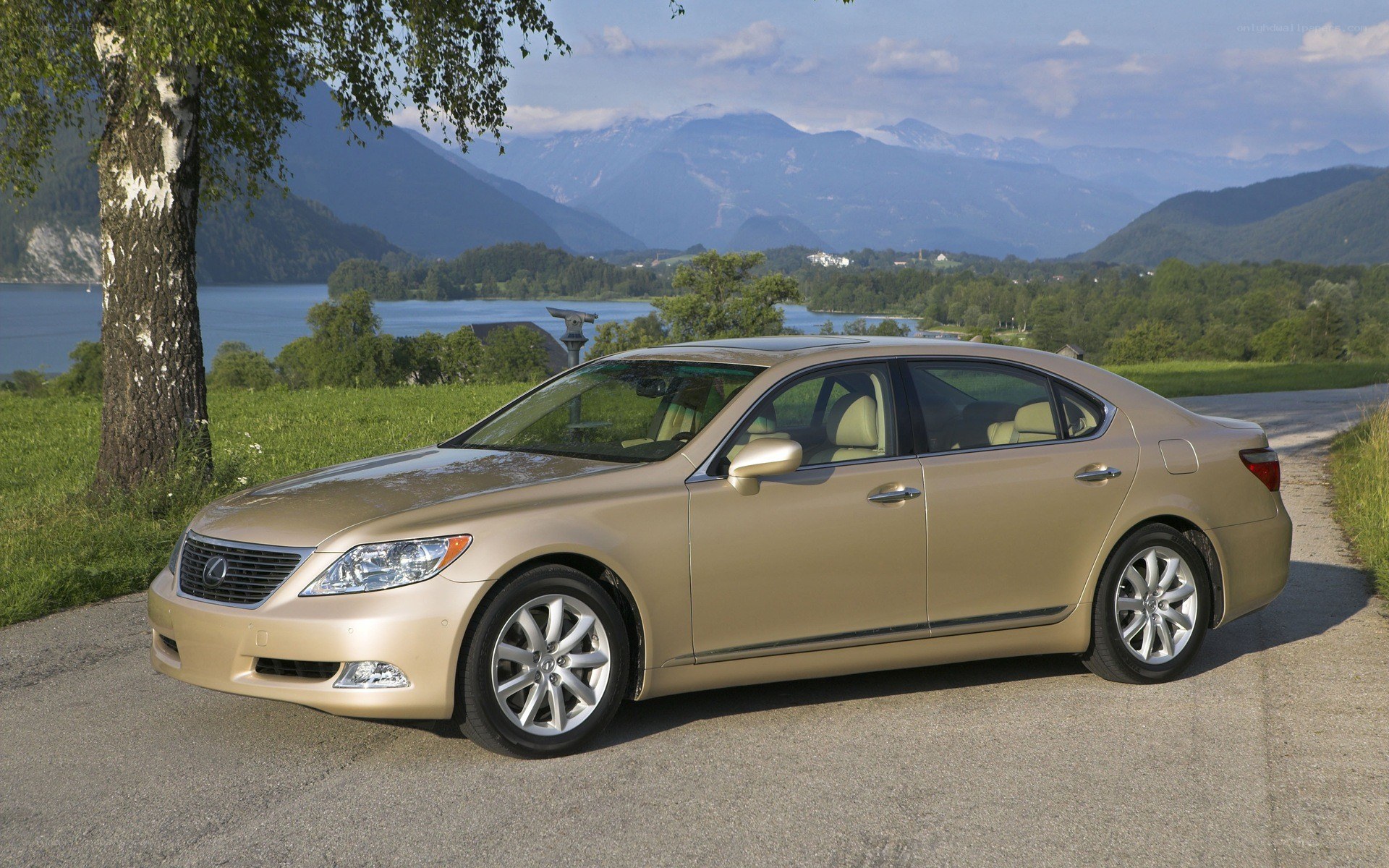 Gold Lexus LS460 by a lake