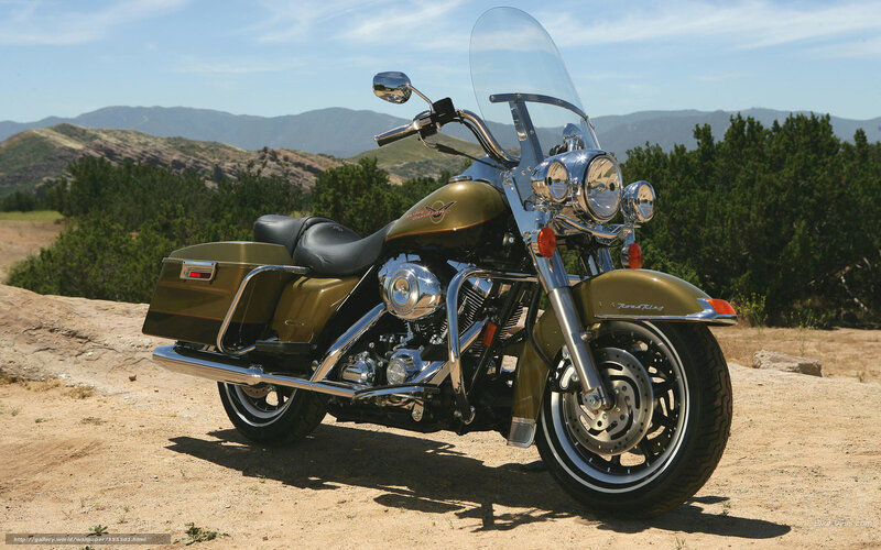 Gold Motorcycle on Dirt
