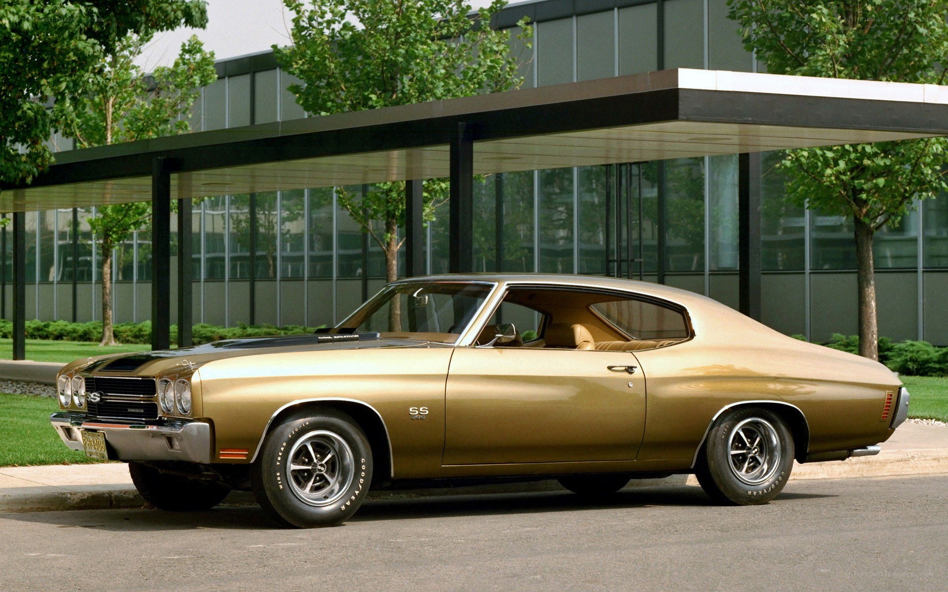 Gold muscle car parked outside