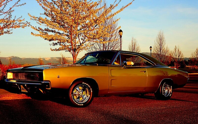 Gold Muscle Car — Serene, Sunset