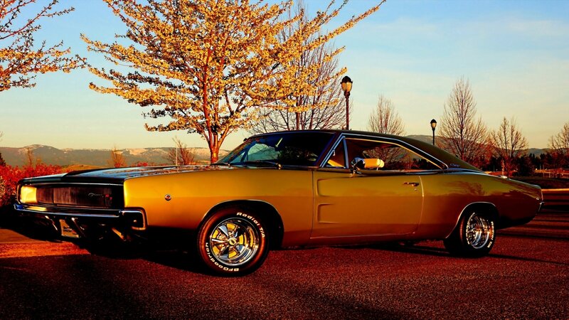 Gold Muscle Car — Serene