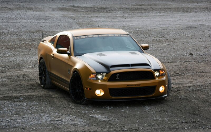gold mustang shelby gt500