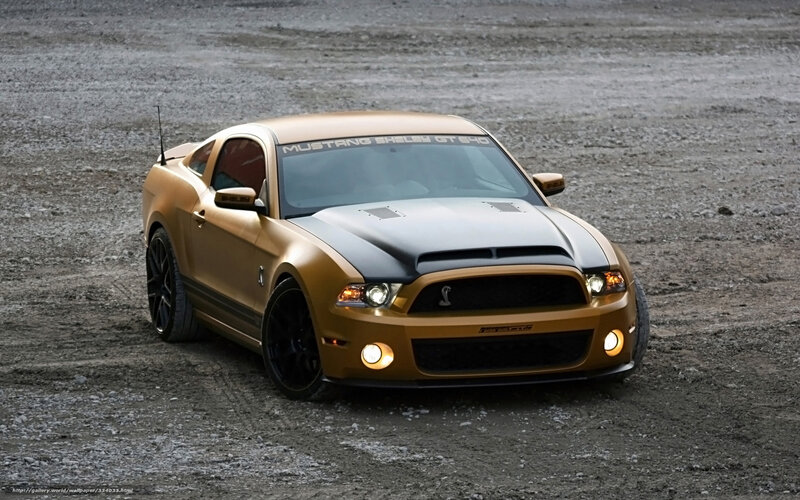 gold mustang shelby gt500