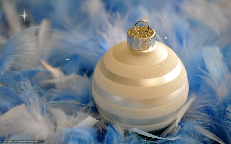 gold ornament on feathers