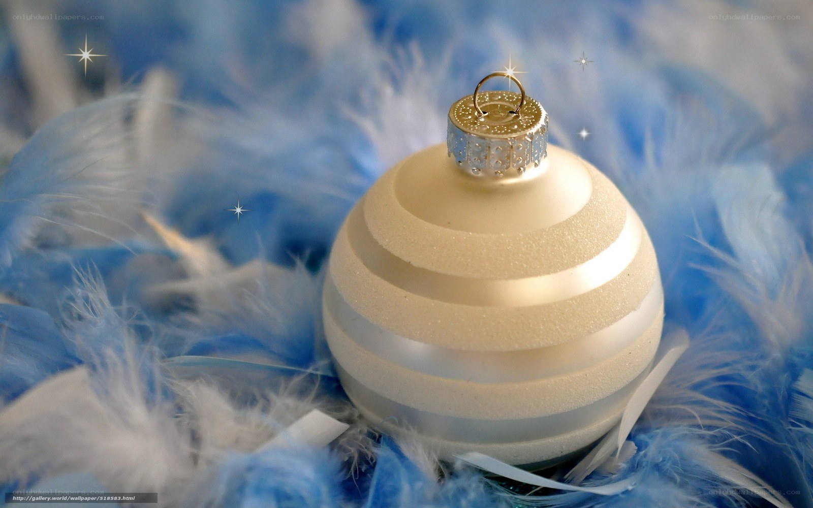 gold ornament on feathers