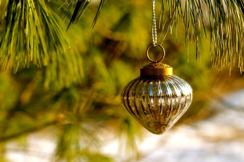 Gold Ornament on Pine Branch — Green