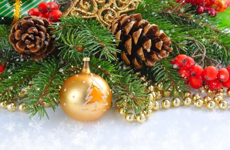 Gold Ornament on Pine Branches — Green