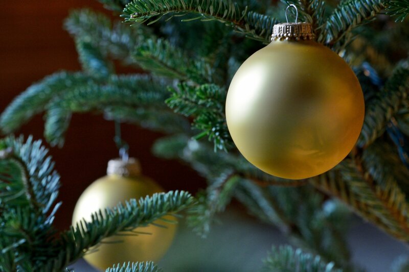 Gold Ornament on Tree — Green, Calm