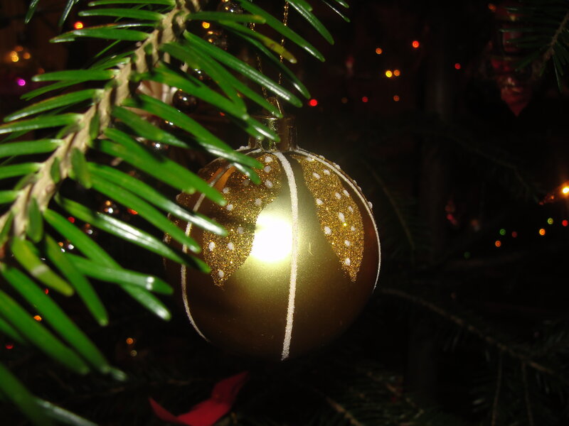 Gold Ornament on Tree — Green, Festive, Night
