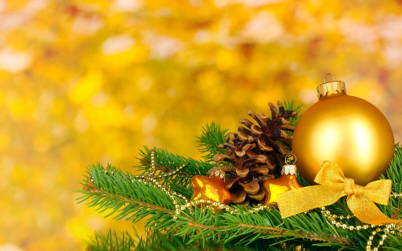 Gold Ornaments on Pine Branch — Green