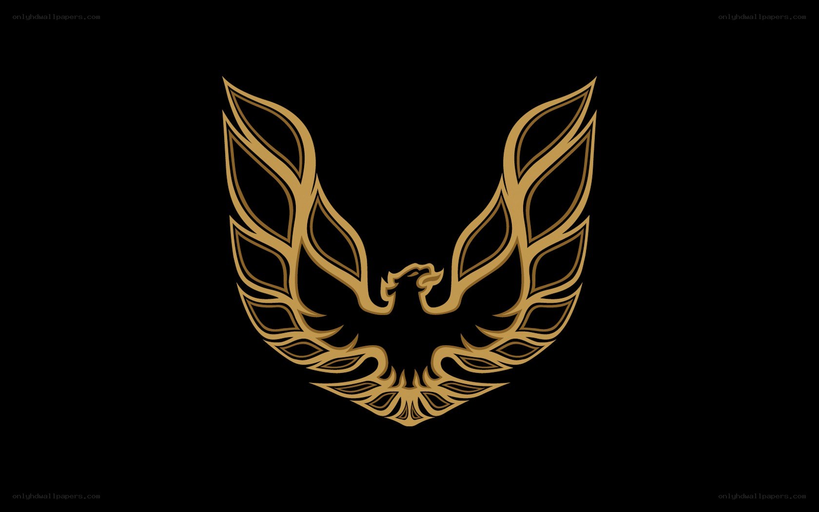 gold phoenix emblem