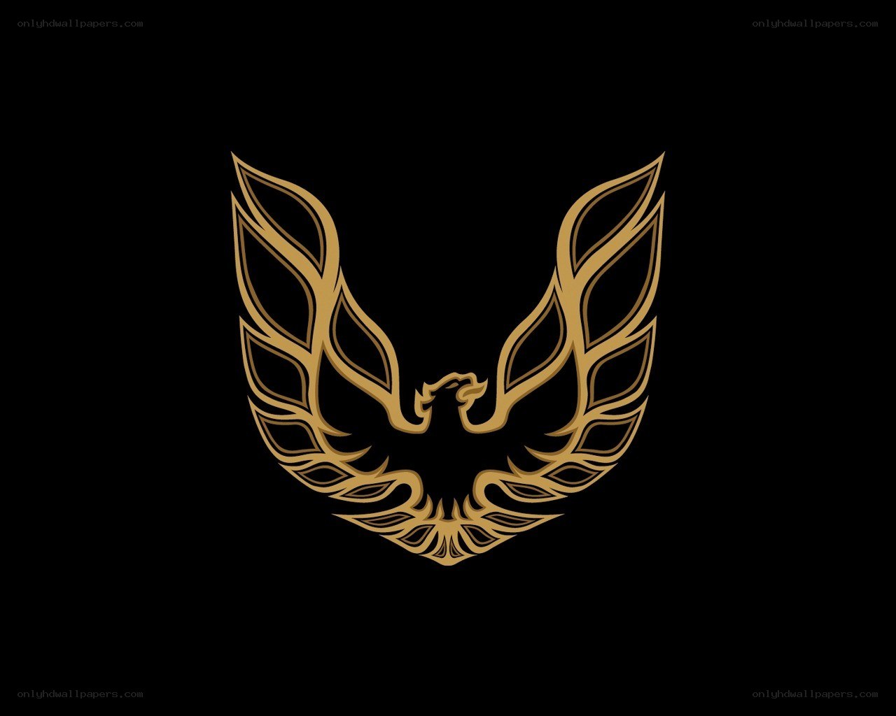 gold phoenix emblem