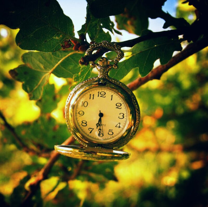 Gold Pocket Watch — Green, Serene, Afternoon, Photograph