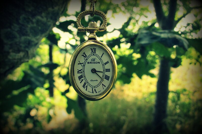 Gold Pocket Watch — Green, Serene, Afternoon