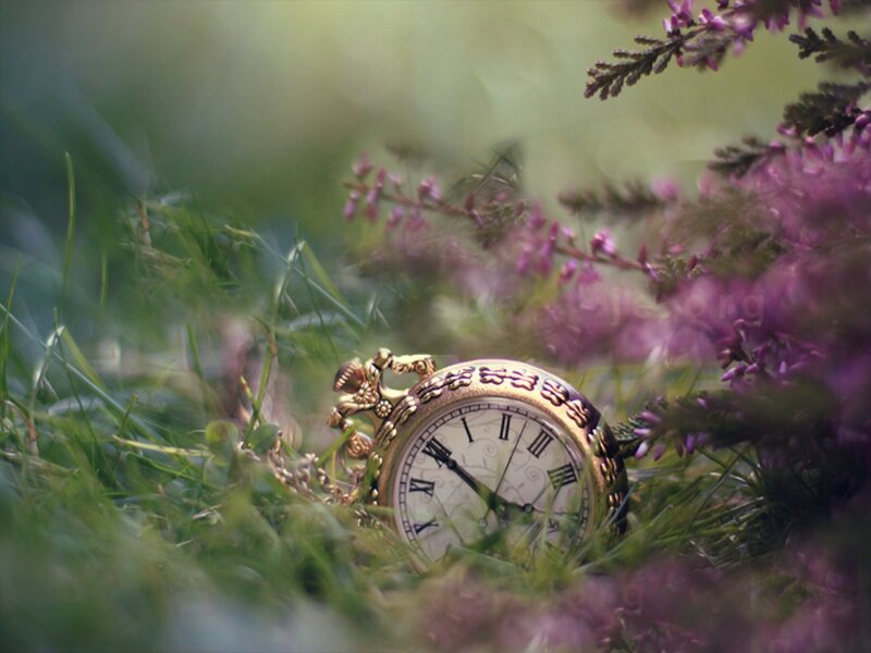 Gold Pocket Watch — Green, Serene, Spring, Photograph, Grass