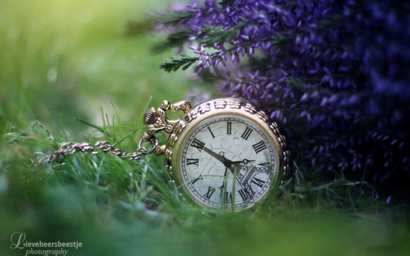 Gold Pocket Watch — Green, Serene, Spring, Photograph