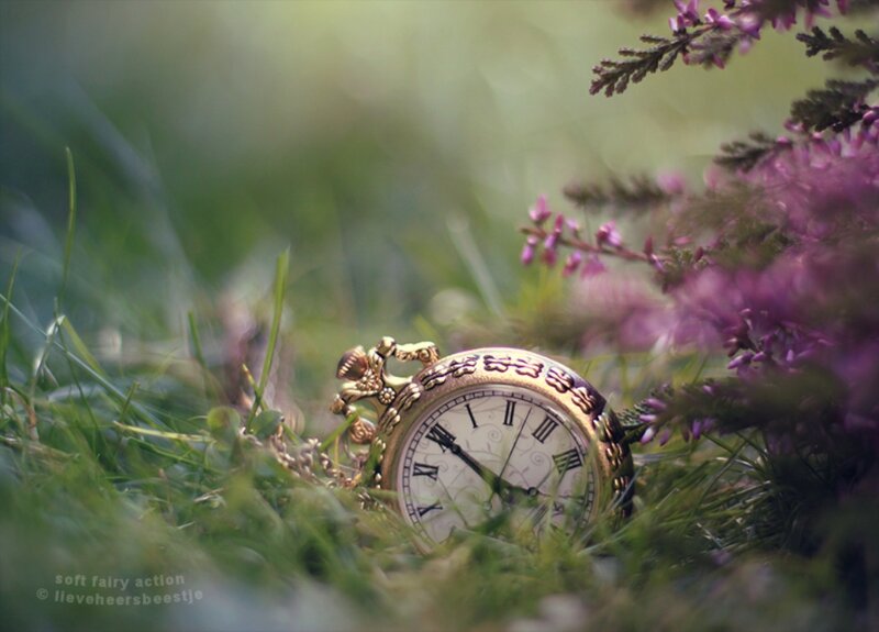 Gold Pocket Watch — Green, Serene, Spring