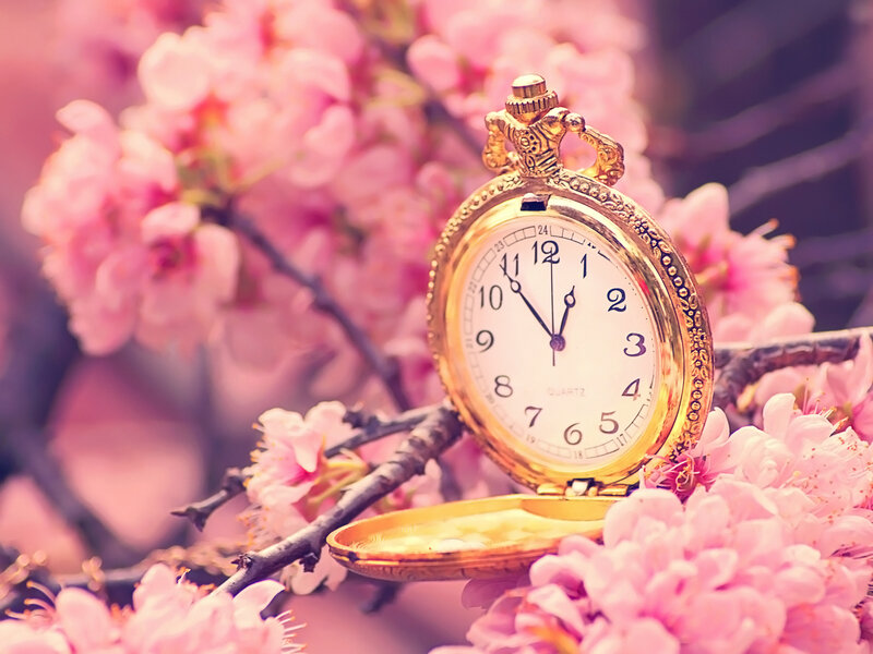 Gold Pocket Watch — Pink, Serene