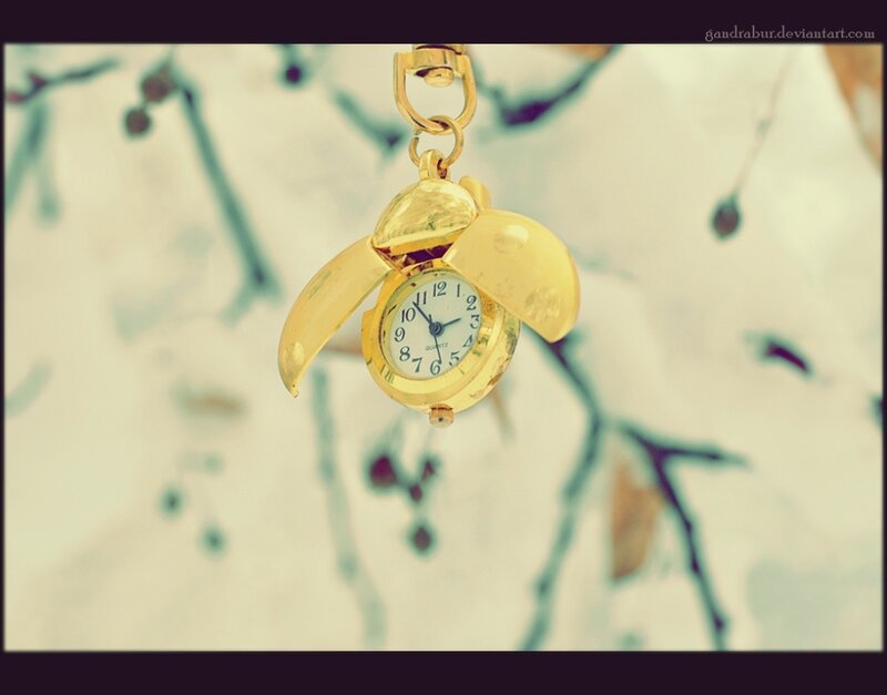 Gold Pocket Watch — Serene, Winter