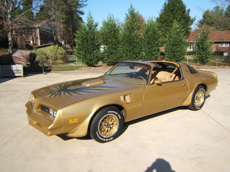 Gold Pontiac Firebird — Calm, Afternoon
