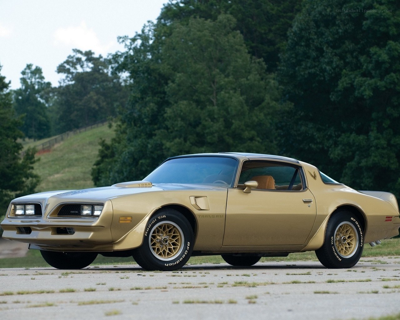 Gold Pontiac Trans Am