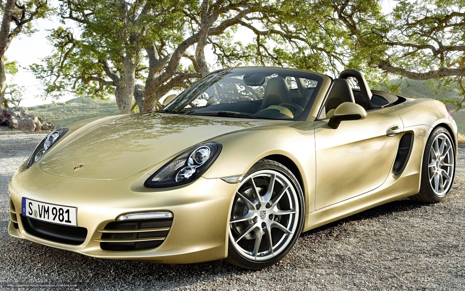 Gold Porsche Boxster parked