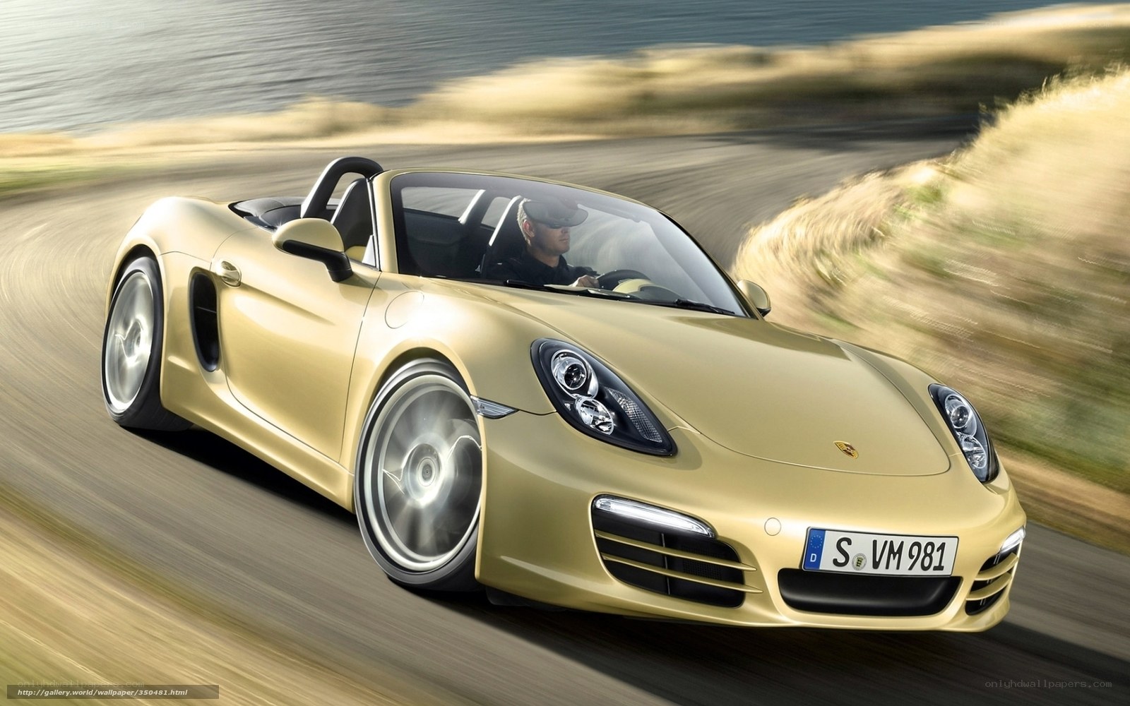 Gold Porsche driving on road