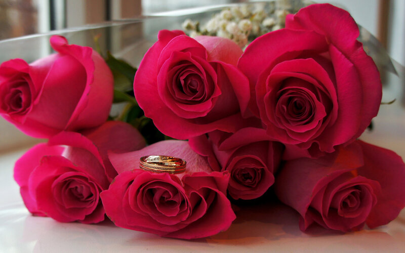Gold Rings on Roses