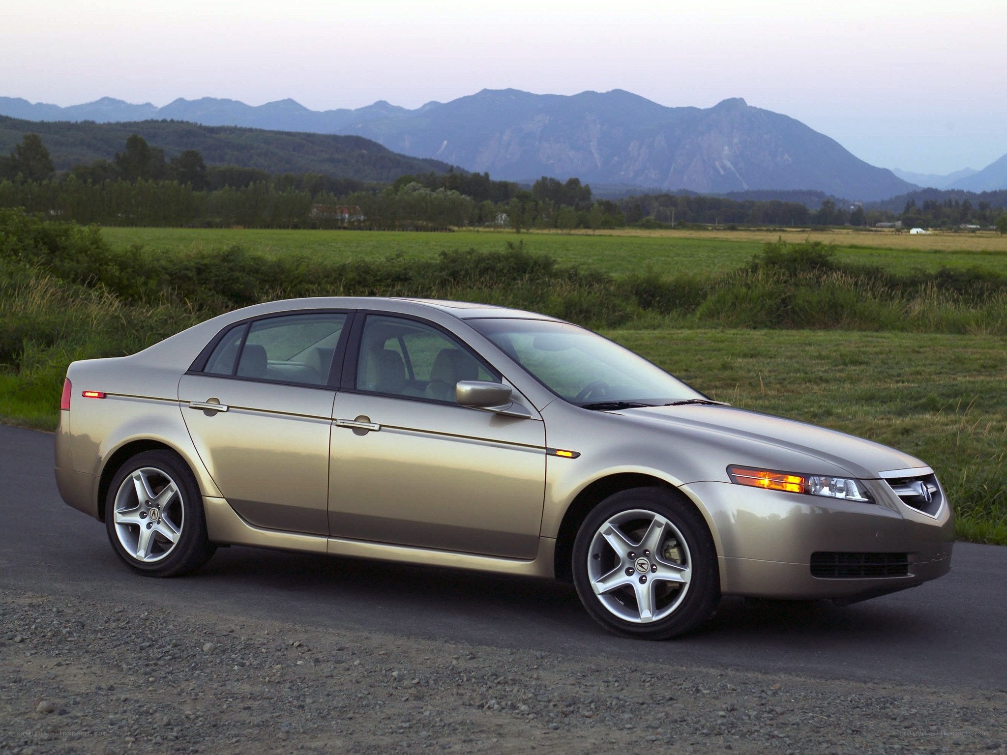 gold sedan on rural road