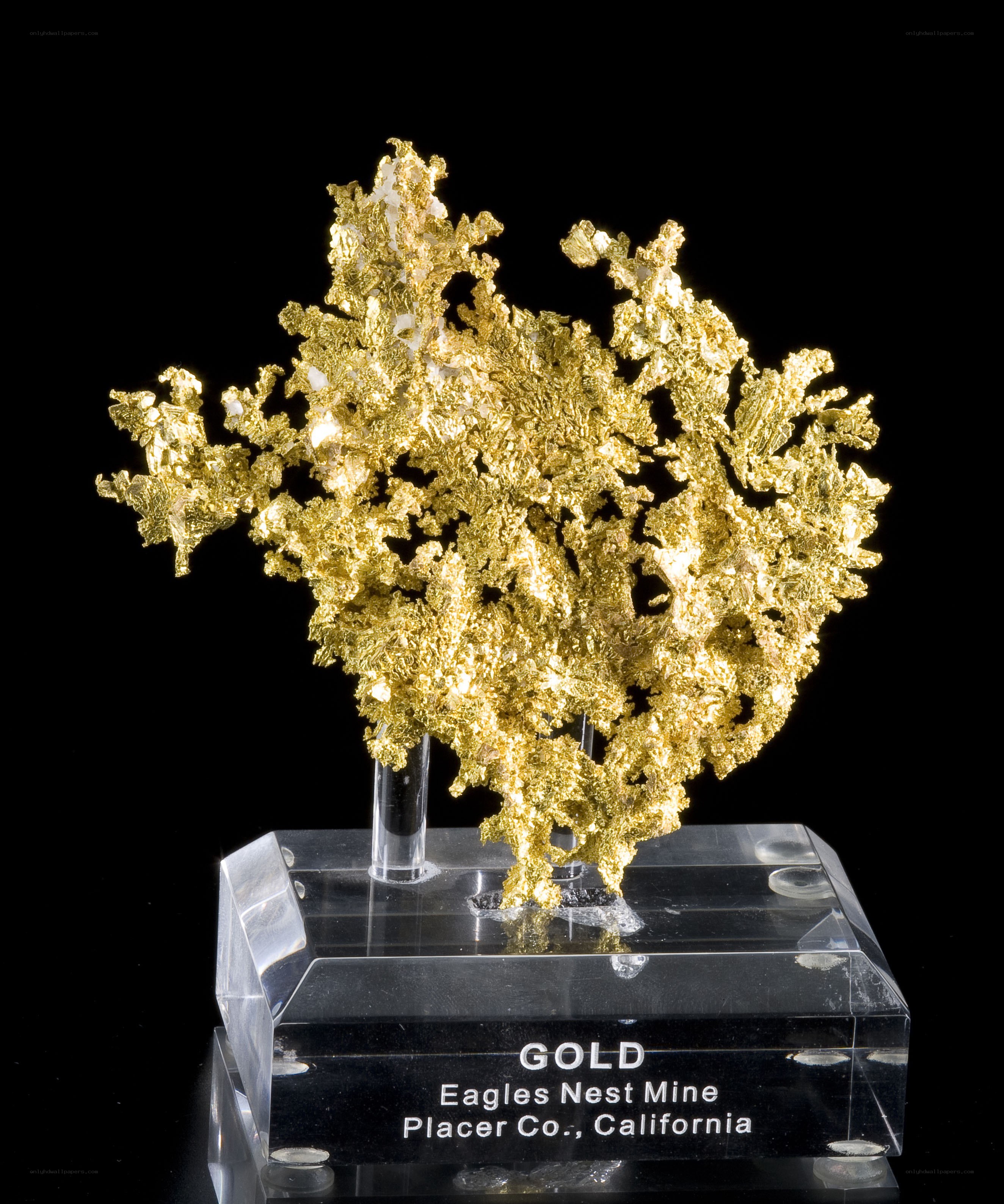 Gold specimen from Eagles Nest Mine