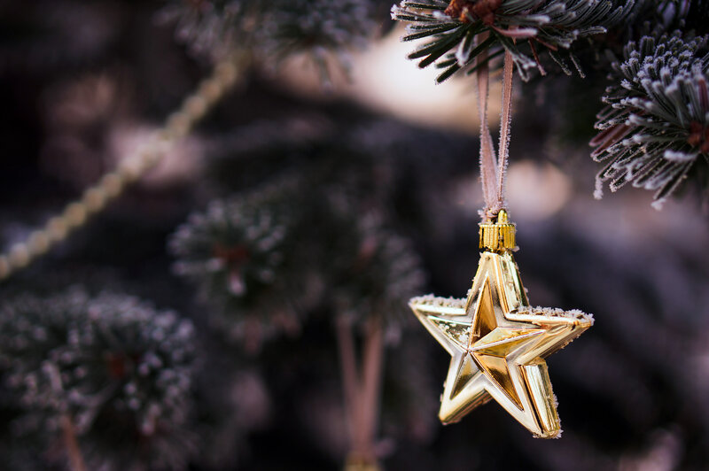 Gold Star Ornament — Festive, Winter, Photograph, Frosty Pine Branches