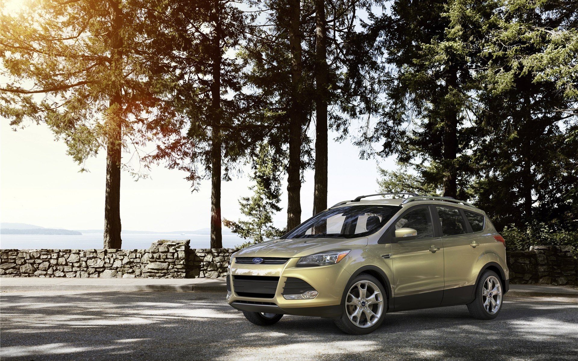 Gold SUV in forest setting