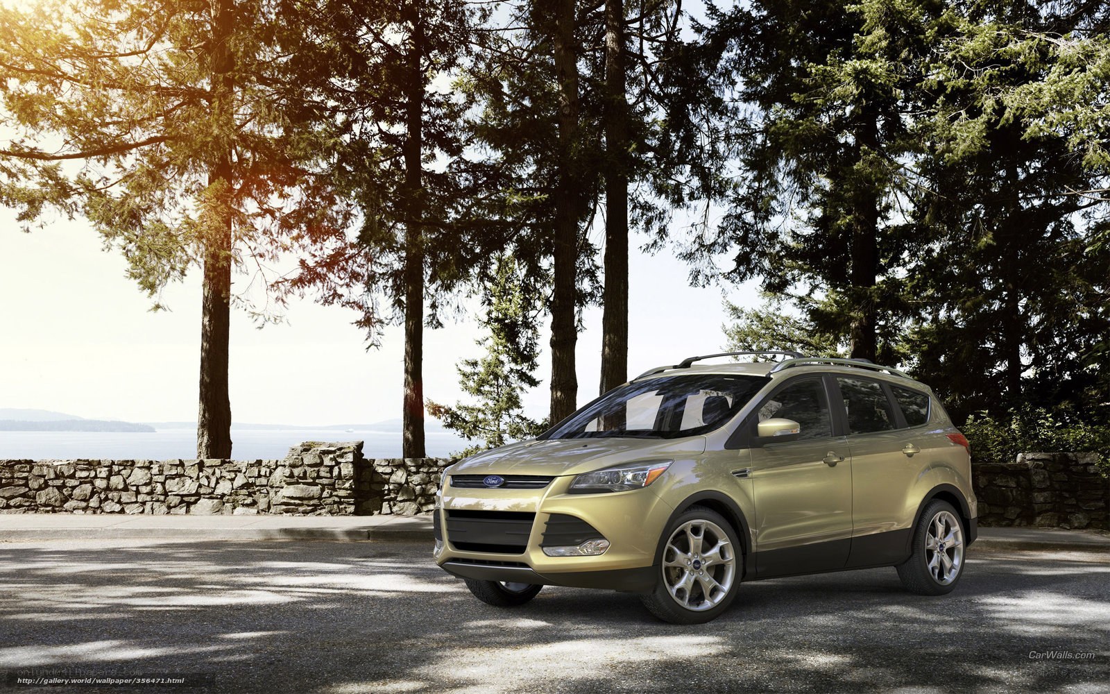 Gold SUV on a forest road
